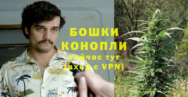 МДПВ Рославль