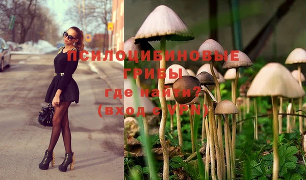 МДПВ Рославль