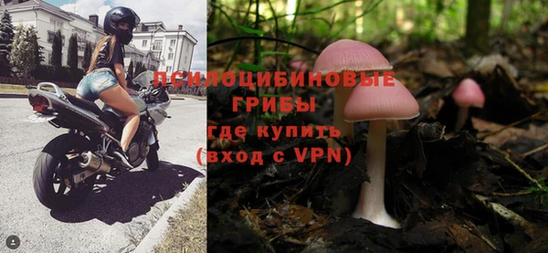 МДПВ Рославль