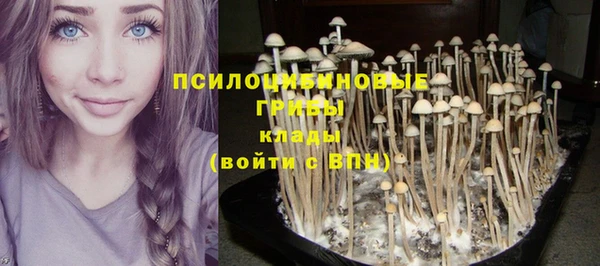 jwh Ростов