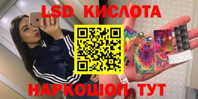 гашик Берёзовский
