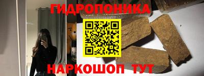 гашик Берёзовский
