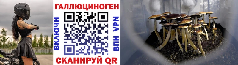 Галлюциногенные грибы прущие грибы  где найти наркотики  Дивногорск 