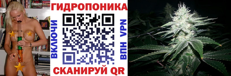 Конопля семена  Дивногорск 